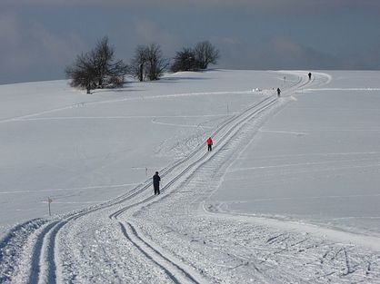Běžecké lyžování, Ladex ubytování Nové Město na Moravě